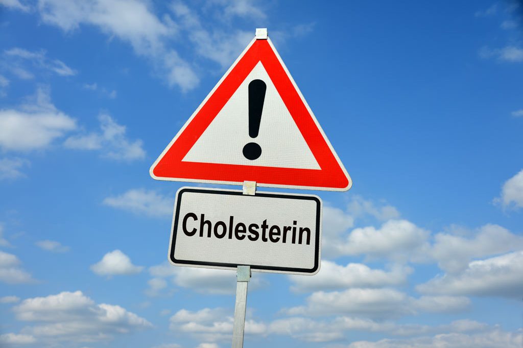 Gesundheits-Forum, Statine oder Rotes Reismehl gegen Cholesterin – individuell abwägen