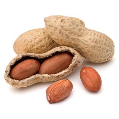 Das Antioxidans OPC steckt unteranderem auch in Erdnüssen